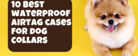 AirTag cases for dog collars