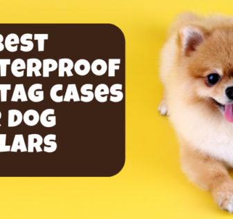 AirTag cases for dog collars