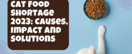 Cat Food Shortage 2023 Causes, Impact and Solutions