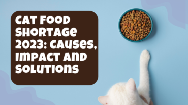 Cat Food Shortage 2023 Causes, Impact and Solutions