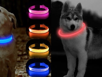 Led Dog Collars