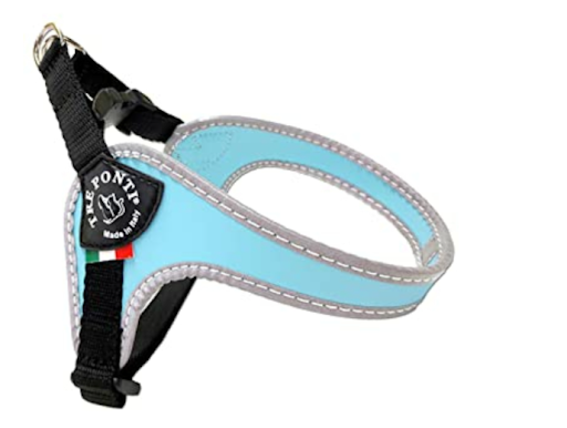 Chelsea Blue Vintage Slim Fit Dog Collar
