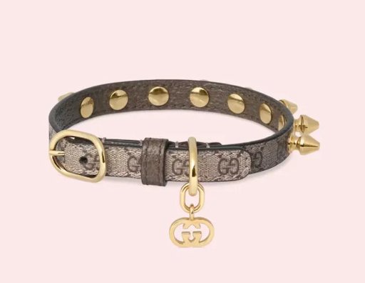 Extra-Small Gucci Pet Collar