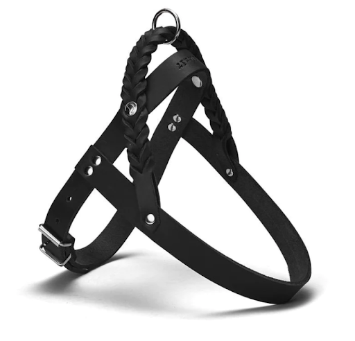 Harness in Central Park